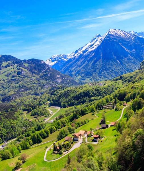 View of Meiringen